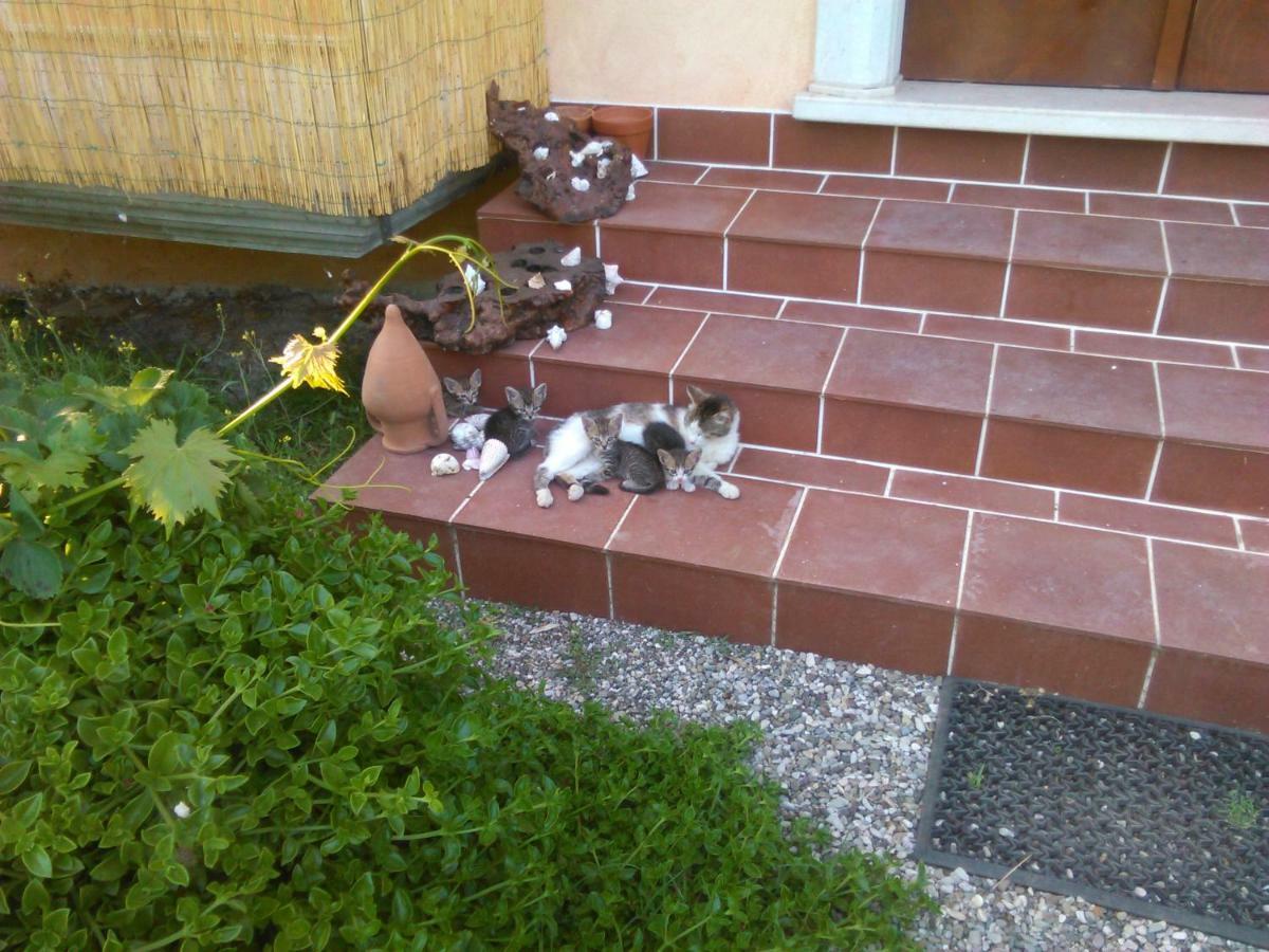 L'Oasi Bed & Breakfast Auletta Luaran gambar