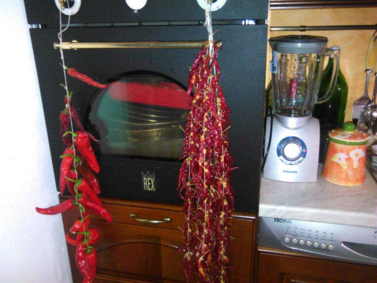 L'Oasi Bed & Breakfast Auletta Luaran gambar